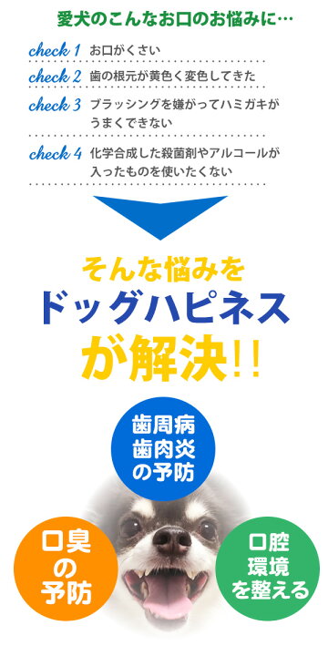 人気スポー新作 フェレット 歯みがき BIOSIS Oral Coat ビオシス オーラルコート 100ml 犬 ドッグ 猫 小動物 歯 歯磨き デンタルケア オーラルケア フッ素 歯石 歯肉炎 歯垢 tripoli.culhub.gr 人気スポー新作 フェレット 歯みがき BIOSIS Oral Coat ビオシス オーラルコート 100ml 犬 ドッグ 猫 小動物 歯 歯磨き デンタルケア オーラルケア フッ素 歯石 歯肉炎 歯垢 tripoli.culhub.gr