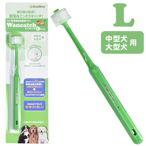 Lb`iWancatchjuV LTCYi^E^pjyybgpCzuVzyȈďCz@ hbO ybg Ԃ炵  PA f^ C  L 