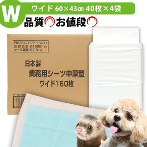 R[`[ { ƖpV[c^Chi40×4܁jyP[X̔z@ hbO ybg gCV[c gCV[g ybgV[c ybgV[g ObY