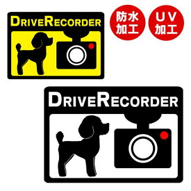 楽天市場 ドライブレコーダー シールの通販