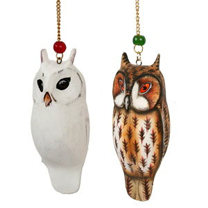 tNEI[ig@tNE ӂ낤 G AWAG oG ChlVA