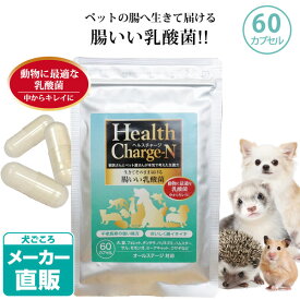 【レビュー特典】【正規品】ヘルスチャージ-N（60カプセル）【乳酸菌】【栄養補給】【健康維持】【オールステージ対応】【国産】　犬 猫 フェレット ウサギ チンチラ ハリネズミ ペット 乳酸菌 整腸 腸内環境 免疫 大腸 善玉菌 アレルギー 栄養補助 長生き