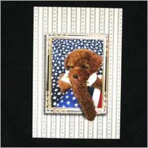 IWi |XgJ[h AJ@v[h@v[h G J[h O[eBOJ[h Xe[Vi[ ObY  hbOy[։z