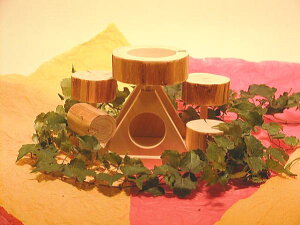 nX^[^pƓo肩؂ɂȂyAX`bNnEX