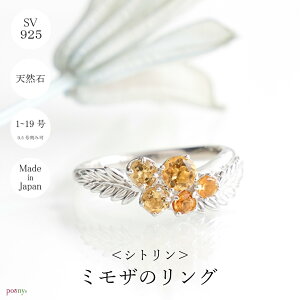 y󒍐z~U VR Vg Vo[O nhCh 1 5 9 14 17 19  t[ CG[ w Silver925 X^[OVo[ 11 a v[g NX}X M