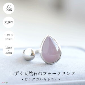 y󒍐zH~ɂ?嗱sNJZhj[̃yAVFCvtH[NO VR΃O i1`19jVo[O VR Ԃ Vv J[Xg[ ubNw Silver9