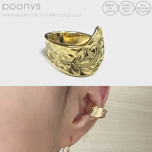 yzK^^ł遖 nCA WG[ C[Jt S[h Ԃ fB[X nCAWG[ mz[sAX  AM[Ή CO t