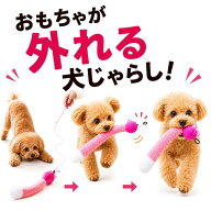 おもちゃが外れる犬じゃらし【超小型犬　小型犬　中型犬】　犬おもちゃ　小犬おもちゃ　おもちゃが獲れち…