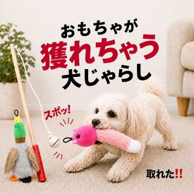 マラソン期間ネズミ100円引き　おもちゃが獲れちゃう犬じゃらし　犬おもちゃ　小犬おもちゃ　おもちゃが獲れちゃう犬じゃらし