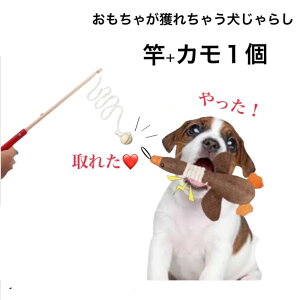 ̂@̂@ႪƂꂿႤ炵y^^z炵{J1