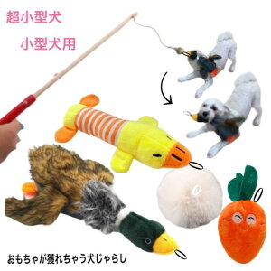 @@ႪƂꂿႤ炵y^@^z