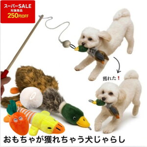 @@ႪƂꂿႤ炵Ђy^@^z