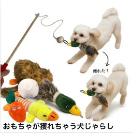 おもちゃがとれちゃう犬じゃらし　あひる【超小型犬　小型犬】　犬おもちゃ　小犬おもちゃ