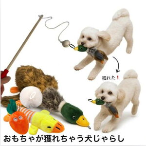 �労�Ӎ�250�~OFF�@�������Ⴊ�Ƃꂿ�Ⴄ������炵�@���Ђ�y�����^���@���^���z�@����������@������������