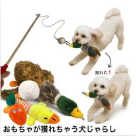 おもちゃがとれちゃう犬じゃらし　あひる【超小型犬　小型犬】　犬おもちゃ　小犬おもちゃ