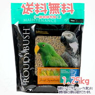 【送料無料※一部地域を除く】正規品 ラウディブッシュ デイリーメンテナンス スモール 1.25kg ROUDY BUS…