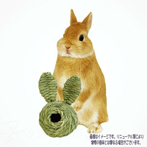 KAWAI y {[  ō3,980~iE9,800~jȏ̂ő   `V[  S i 