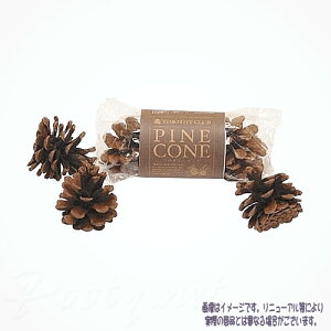 KAWAI PINE CONE 3  ō3,980~iE9,800~jȏ̂ő  nX^[ eO[ ``      S i
