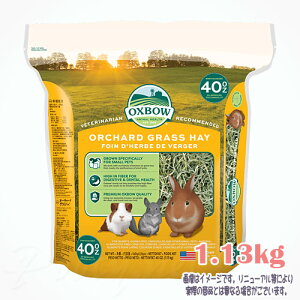 OXBOW �I�[�`���[�h�O���X�w�C 1.13kg ��� �ō�3,980�~�i����E����9,800�~�j�ȏ�̂������ő������� �E�T�M �������b�g �`���`�� �f�O�[ ���� �t�[�h ������ �q�� ���i�� �v���~�A�� ���Y�� �h�{
