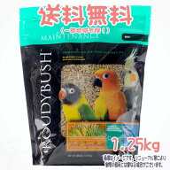 【送料無料※一部地域を除く】正規品 ラウディブッシュ デイリーメンテナンス ミニ 1.25kg ROUDY BUSH ア…