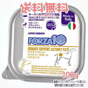 y[֑zFORZA10 hbO Ei?(APA) ANeBEFbg pe T[&nC̔g 100g gbRC^[iVi Ö@H h{H p ۑEFE