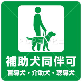 楽天市場 犬同伴の通販