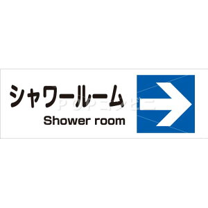 yʗpzV[[1 tAXebJ[ 2TCY V[ tA   sNgTC sNg}[N