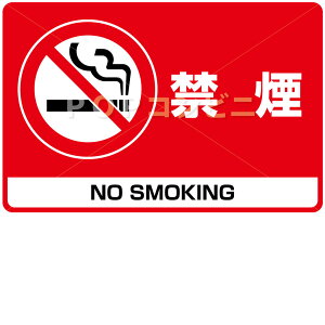 yʗpz։ 32×21cm tAXebJ[ V[ tA   sNgTC sNg}[N  o  ^oR 