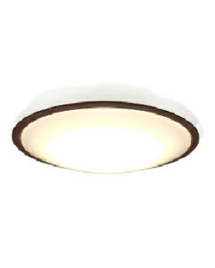 IRISOHYAMAiACXI[}j LEDV[OCg 12F Ebht[ 4967576687430 ECOHiLUX CEA12DL-5.0QWFM
