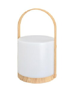 OHMiI[d@j LEDe[uv 4971275650831 TT-Y102K