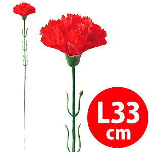 J[l[V()@33cmԌa/5cm@zEPEy1{z