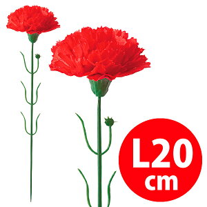 J[l[V()@20cmԌa/6cm@zEPEy1{z