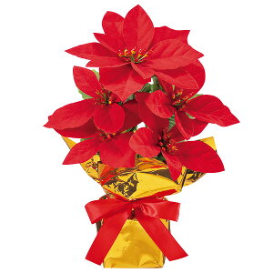 23cm|CZ`A[RXg|bg@H23×W16cmԌa12`14cm@zEPVCEPEEX`[y1z