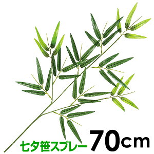 Xv[@̑ [| vX`bN̍ lH  [POP [Ց fR[V fBXvC tFCNO[ ̗t