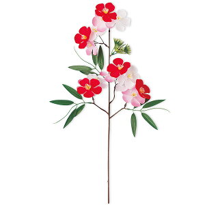 |~Xv[@L55cm Ԍa7cm@zEPEy1{z