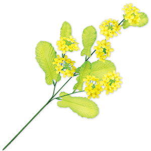 ؂̉ԃXv[i3{}j@L62cm Ԍa7cm }a4mm@|Ezy1{z