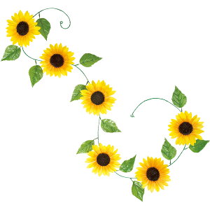 Ђ܂ [RXgK[h@L180cmԌaF14cm@zEPEy1{z