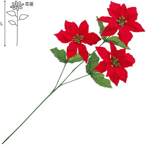 xxbg|CZ`AXv[@L58cmԌaF12.5cm@zEPEy1{z