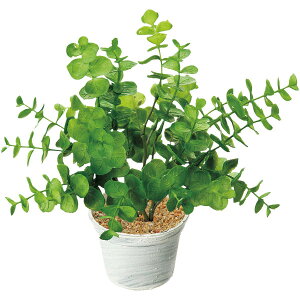 [J|bg@H22×W22cm@PEEPSEPPEX`[y1z