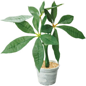 pL|bg@H26×W20cm@zEPEEPSEPPEX`[y1z