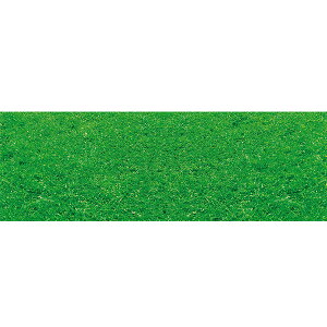 y[TԈȏzEhV[g Őiʐ^j@60×180cm@eg|Wy1z