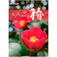 たびもの撰華（椿コース）　　【1セット入】