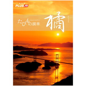 т̐؁ikR[Xj@@y1Zbgz