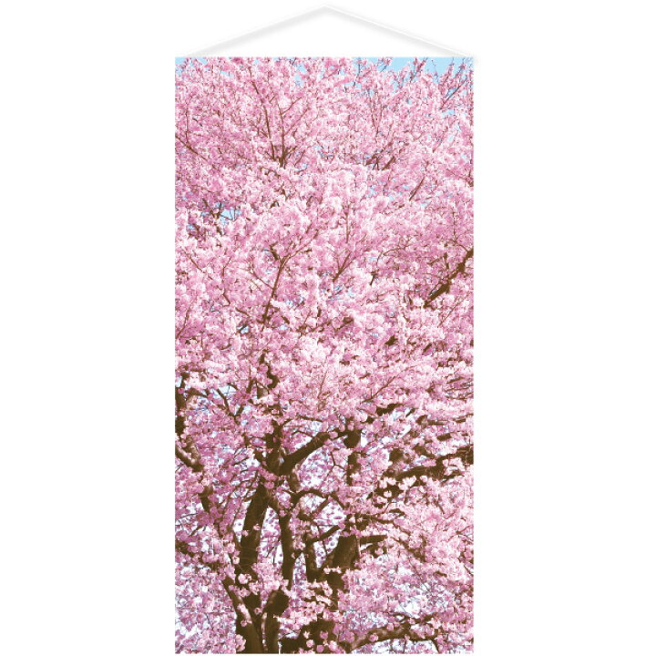 楽天市場】桜満開タペストリー（防炎加工） H180×W90cm テトロンポンジ 