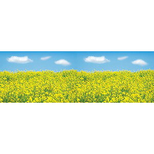 rj[ ؂̉ԁiʐ^j@60cm×50m@PE0D07mmitjy1{z