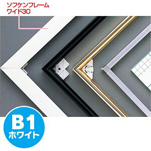 y[TԈȏzysz\tPt[Ch30iB1j@H1030×W728mm@A~{y1z