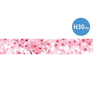 y[TԈȏzEhV[gS iʐ^j@30×180cm@eg|Wy1z