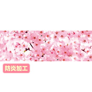 y[TԈȏzEhV[g iʐ^j ihHj@60×180cm@eg|Wy1z