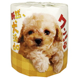 yszy@llzfRAhdaI1P[Xi100j@114mm×30mi2dˁj@Đ100%y1bg(1P[X)z