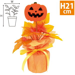 nEBbsO|bg@H21×W18cm@zEsDzEPEEX`[EtFgy1z